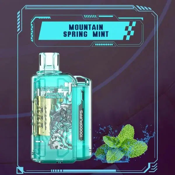 IGET FLARE B10000 – Mountain Spring Mint - Vape Shop Shimla VapeshopShimla