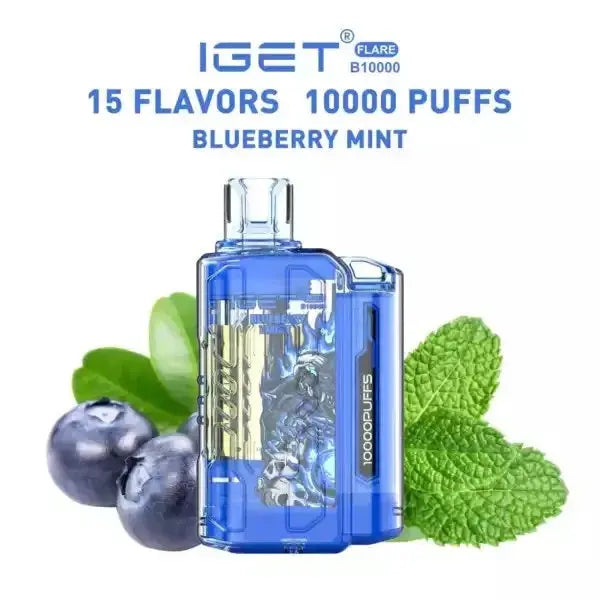 IGET FLARE B10000 – Blueberry Mint - Vape Shop Shimla VapeshopShimla